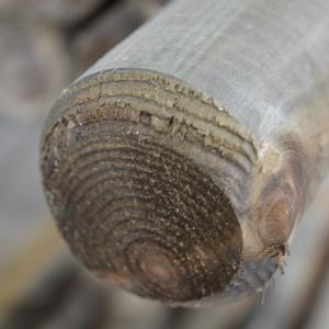 Houthandel Bos - Tuinhout paal rond