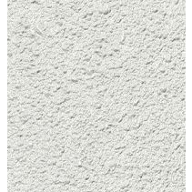 Agnes Wandplaat 62x260cm wit stuc - 2st