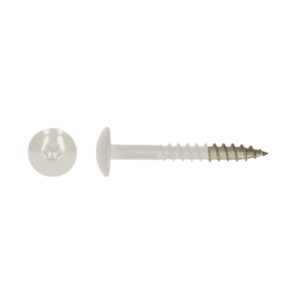 Trespaschroef 4.8x38 RVS RAL9010 - 100st